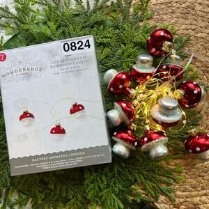 Mushroom Dewdrop Lights LED Red Warm White String Timer Battery Operated